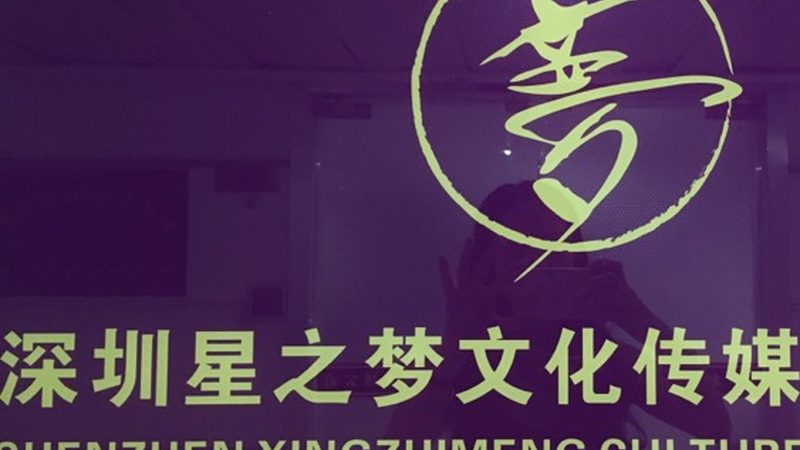 VI设计合同：设计方义务全解析