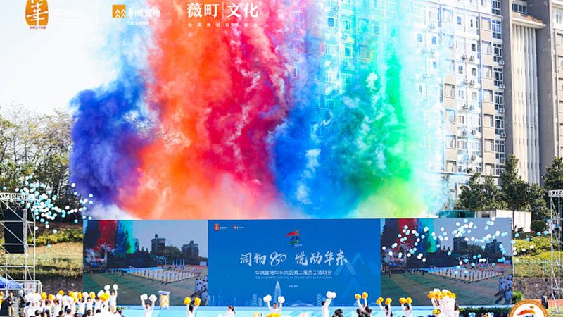 会议策划执行手册模板：注意事项与要点解析
